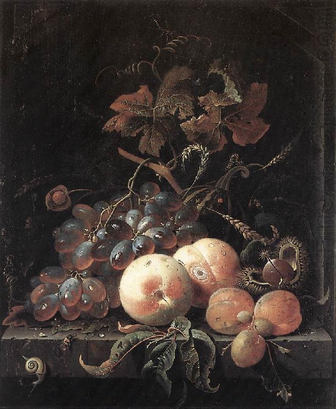 Still-Life with Fruits sg, MIGNON, Abraham